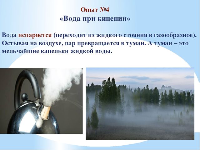 Презентация Экология "Вода источник жизни"