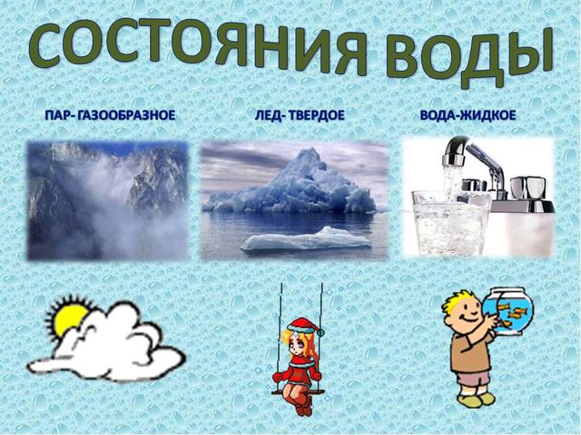 Презентация Экология "Вода источник жизни"