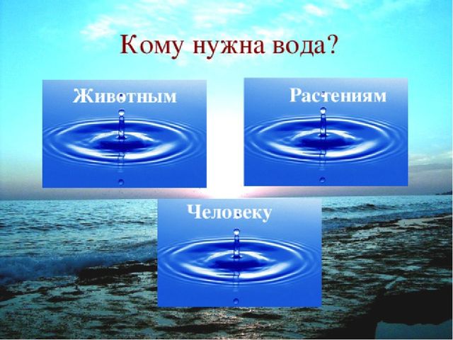 Презентация Экология "Вода источник жизни"