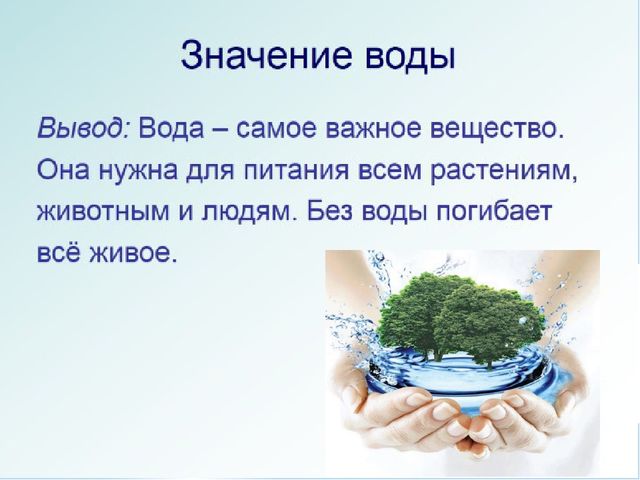 Презентация Экология "Вода источник жизни"