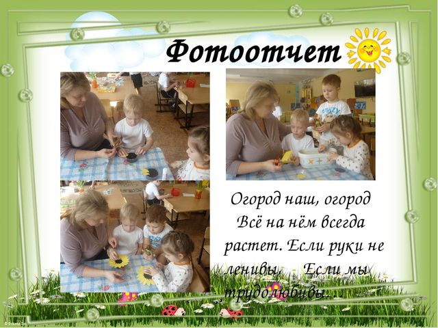 Проект- презентация по экологическому воспитанию "Огород на окошке" для детей 4-5 лет