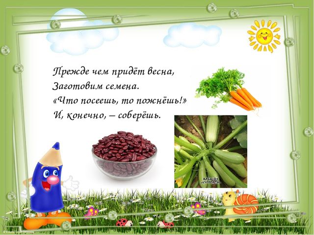 Проект- презентация по экологическому воспитанию "Огород на окошке" для детей 4-5 лет