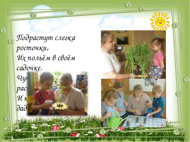 Проект- презентация по экологическому воспитанию "Огород на окошке" для детей 4-5 лет