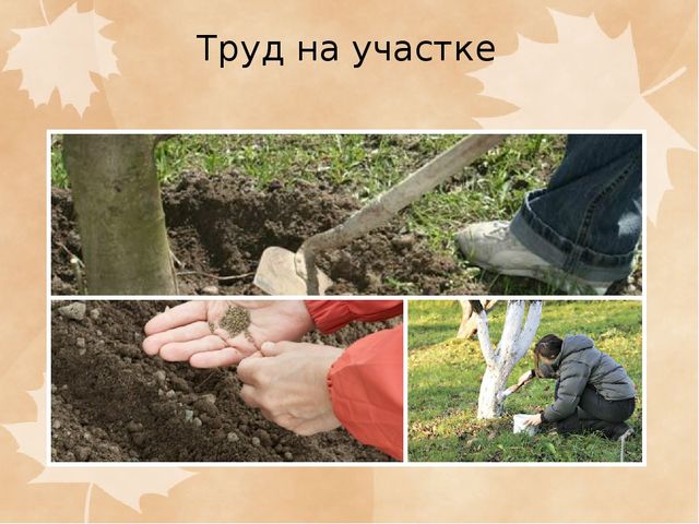 Презентация ФОРМЫ ВЗАИМОДЕЙСТВИЯ ПО ЭКОЛОГИЧЕСКОМУ ВОСПИТАНИЮ С РОДИТЕЛЯМИ