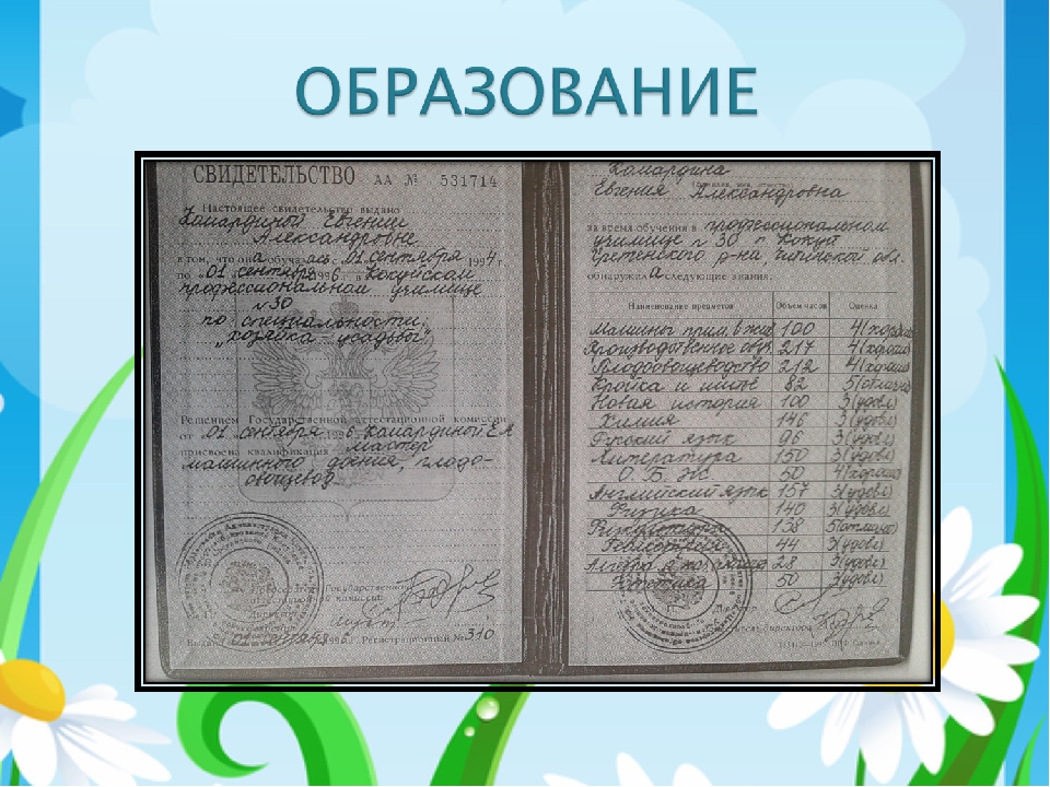 ПОРТФОЛИО ВОСПИТАТЕЛЯ Группы раннего возраста Романовой Е. А.