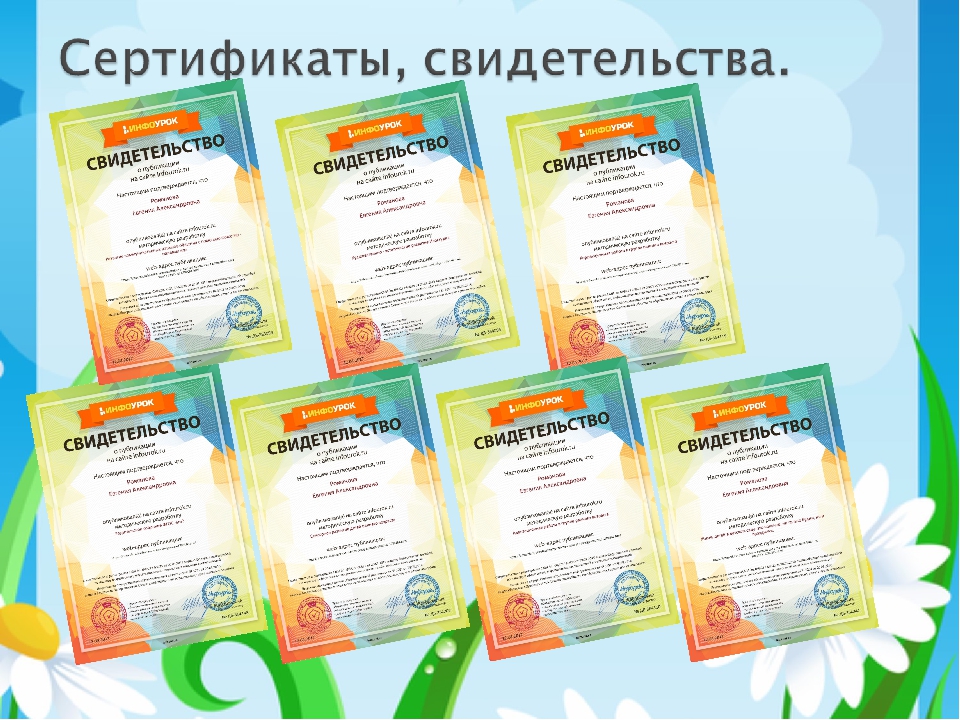 ПОРТФОЛИО ВОСПИТАТЕЛЯ Группы раннего возраста Романовой Е. А.