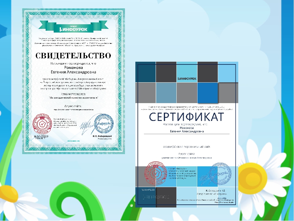 ПОРТФОЛИО ВОСПИТАТЕЛЯ Группы раннего возраста Романовой Е. А.