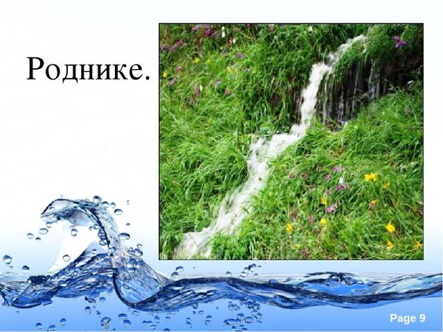 Презентация по экологии "Вода это источник жизни"