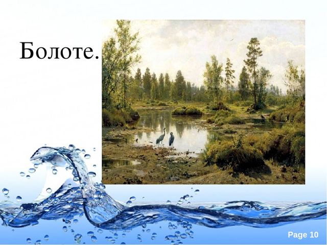 Презентация по экологии "Вода это источник жизни"
