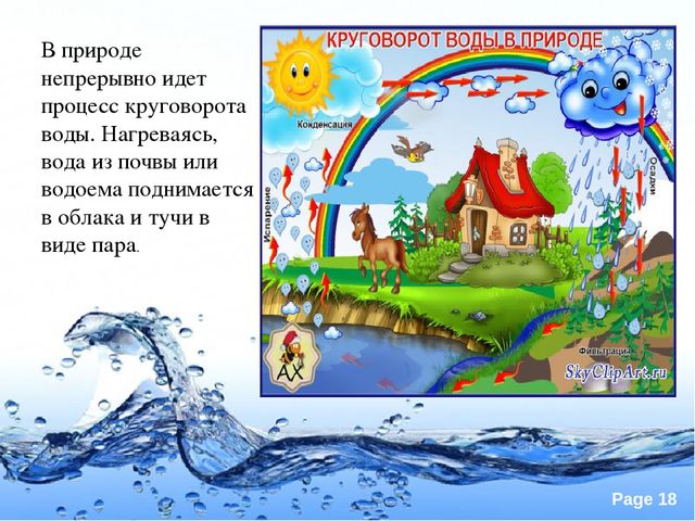 Презентация по экологии "Вода это источник жизни"