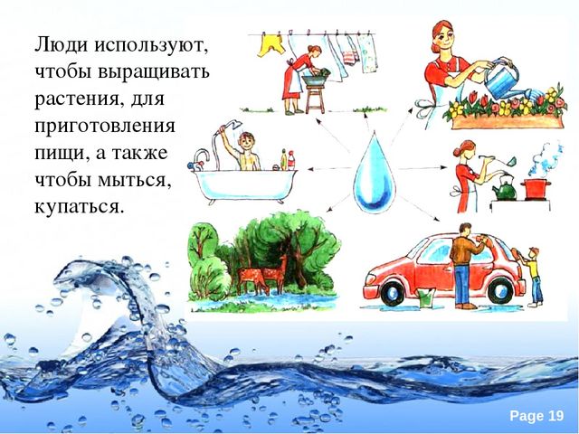 Презентация по экологии "Вода это источник жизни"