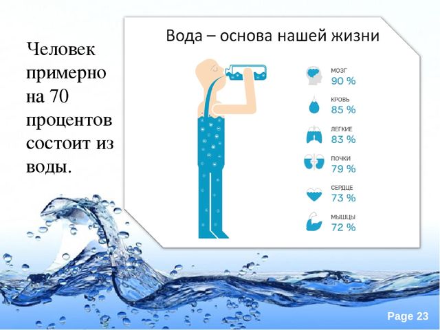 Презентация по экологии "Вода это источник жизни"