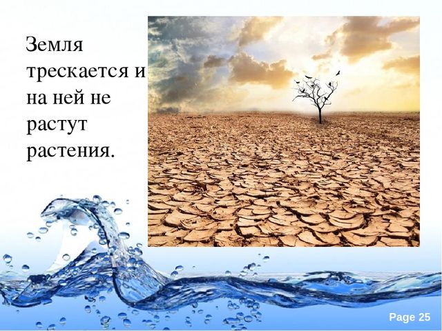 Презентация по экологии "Вода это источник жизни"