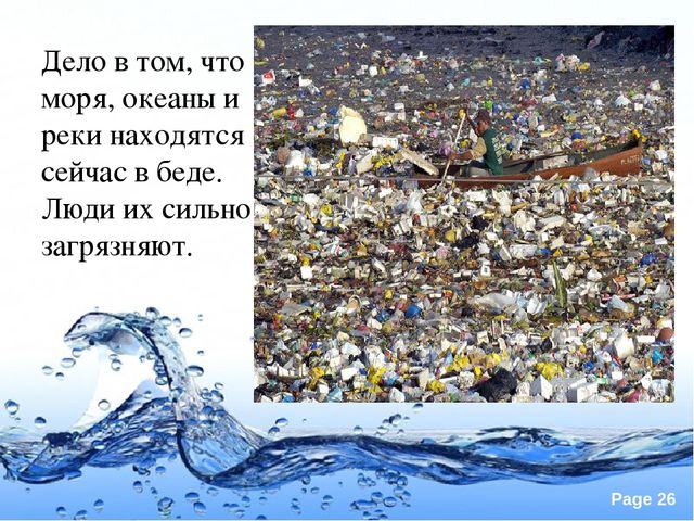 Презентация по экологии "Вода это источник жизни"