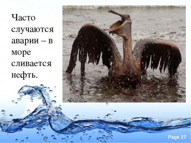 Презентация по экологии "Вода это источник жизни"
