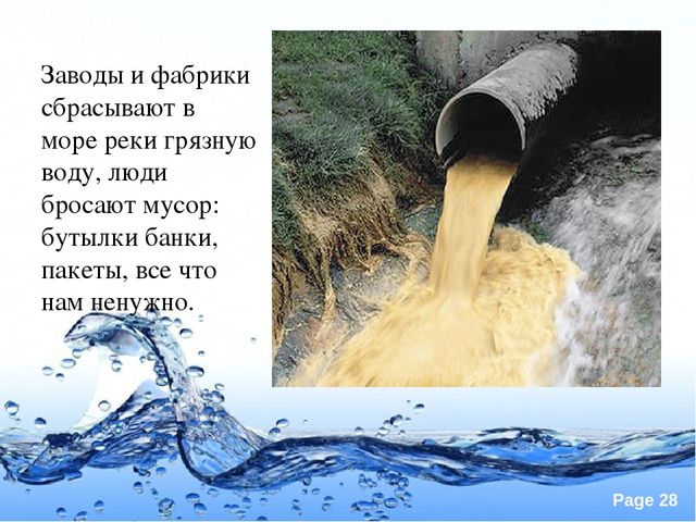 Презентация по экологии "Вода это источник жизни"