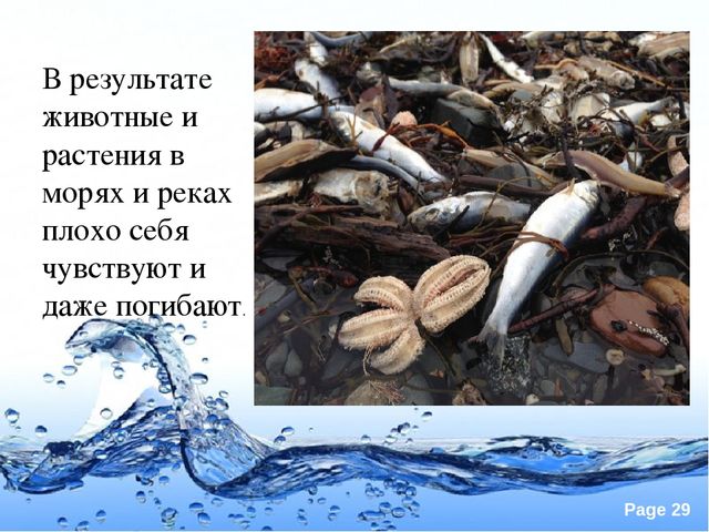 Презентация по экологии "Вода это источник жизни"