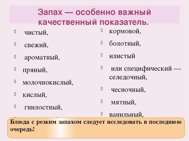 "Оценка качества и безопасности питания детей в детском саду"