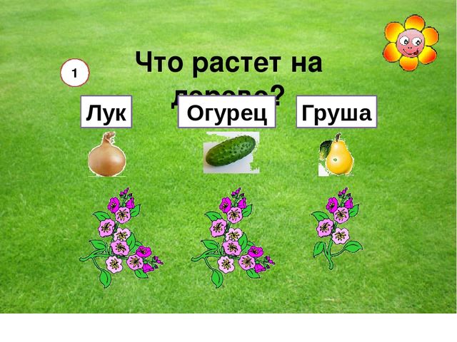 Мультимедийная игра "Помоги пчелкам собрать мед" (серия овощи и фрукты)