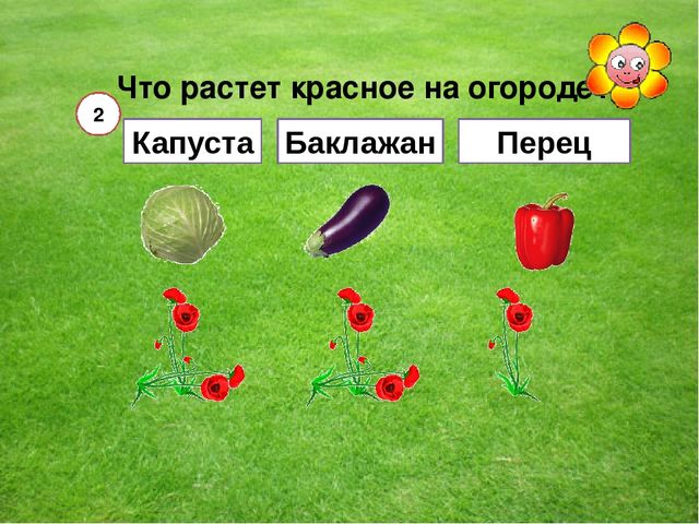 Мультимедийная игра "Помоги пчелкам собрать мед" (серия овощи и фрукты)