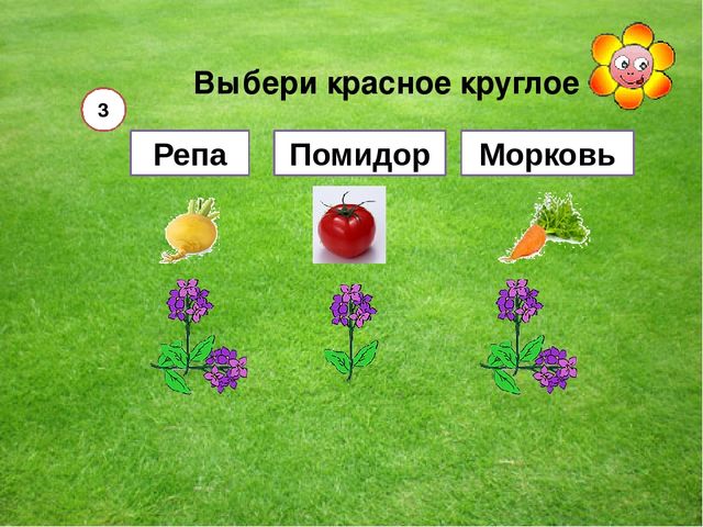 Мультимедийная игра "Помоги пчелкам собрать мед" (серия овощи и фрукты)