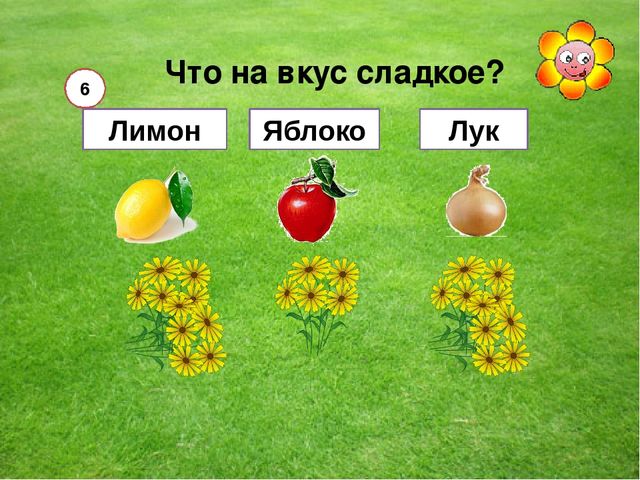 Мультимедийная игра "Помоги пчелкам собрать мед" (серия овощи и фрукты)