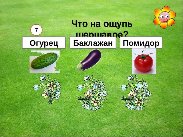 Мультимедийная игра "Помоги пчелкам собрать мед" (серия овощи и фрукты)