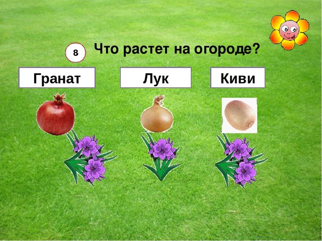 Мультимедийная игра "Помоги пчелкам собрать мед" (серия овощи и фрукты)