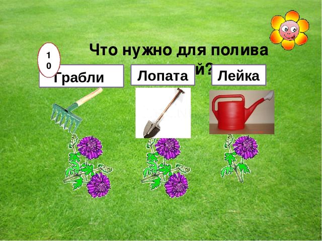 Мультимедийная игра "Помоги пчелкам собрать мед" (серия овощи и фрукты)