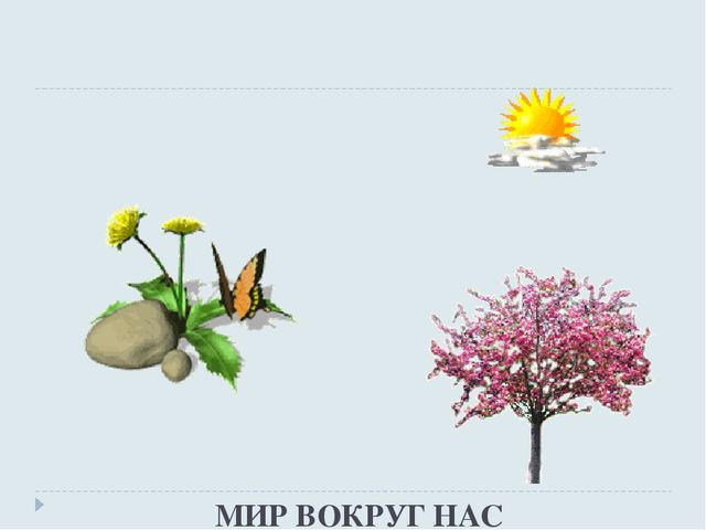 Презентация по экологии на тему "Мир вокруг нас"