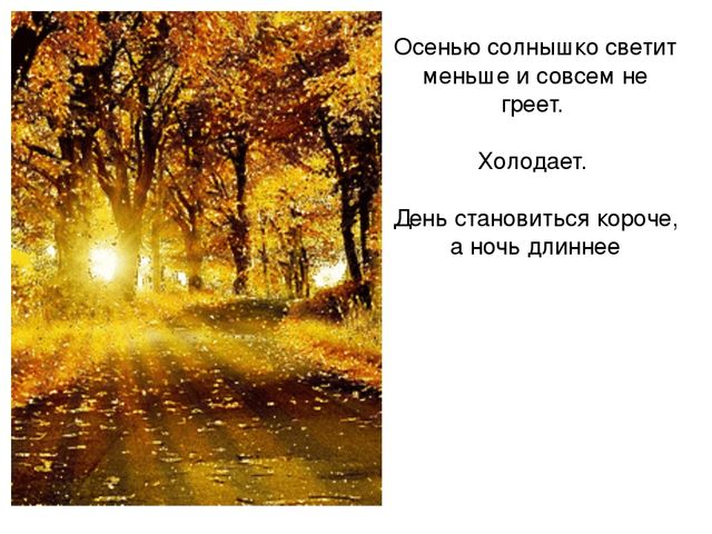 Презентация по ознакомлению с окружающим миром на тему "Осенняя пора"