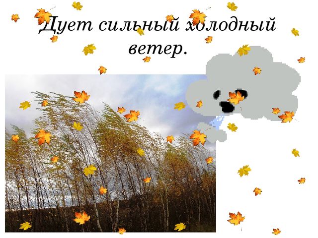 Презентация по ознакомлению с окружающим миром на тему "Осенняя пора"
