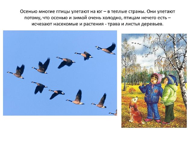 Презентация по ознакомлению с окружающим миром на тему "Осенняя пора"