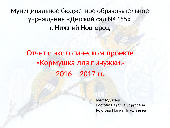 Опыт работы. Организация экологического проекта "Кормушка для пичужки".