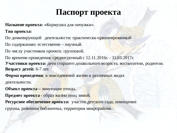 Опыт работы. Организация экологического проекта "Кормушка для пичужки".