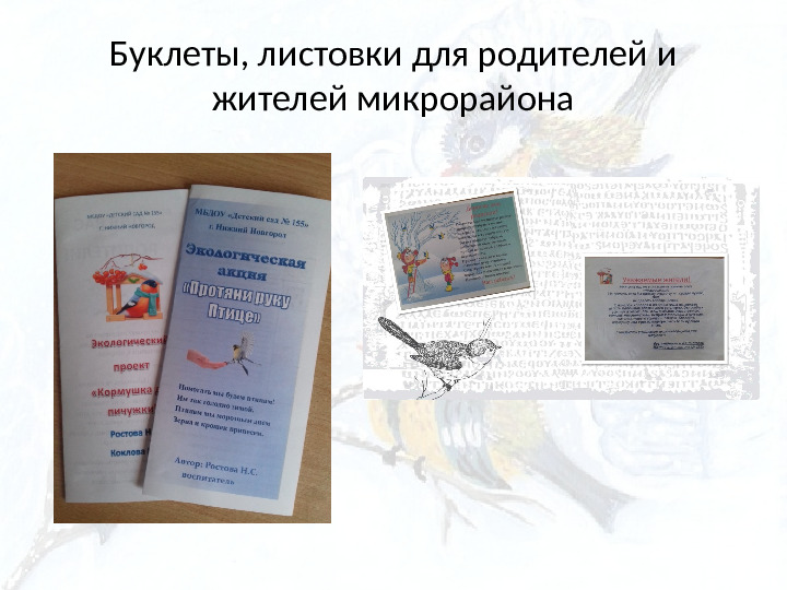 Опыт работы. Организация экологического проекта "Кормушка для пичужки".