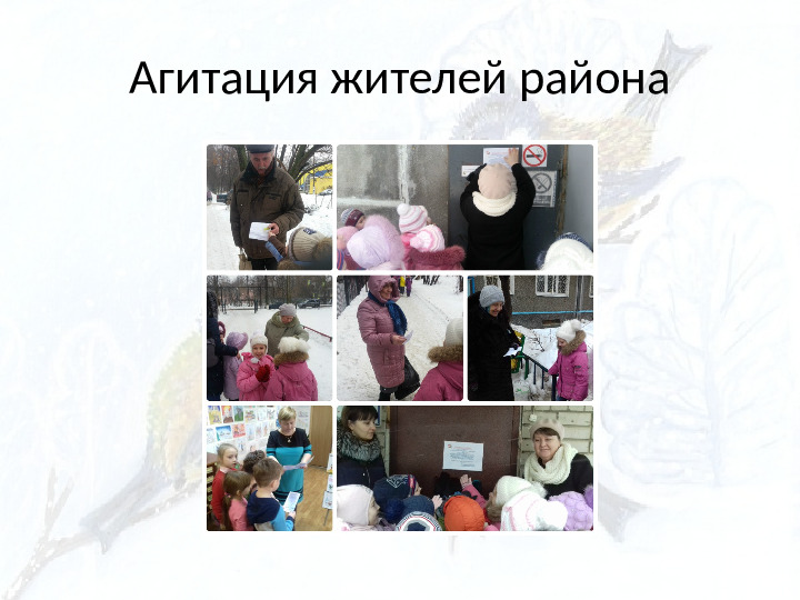 Опыт работы. Организация экологического проекта "Кормушка для пичужки".