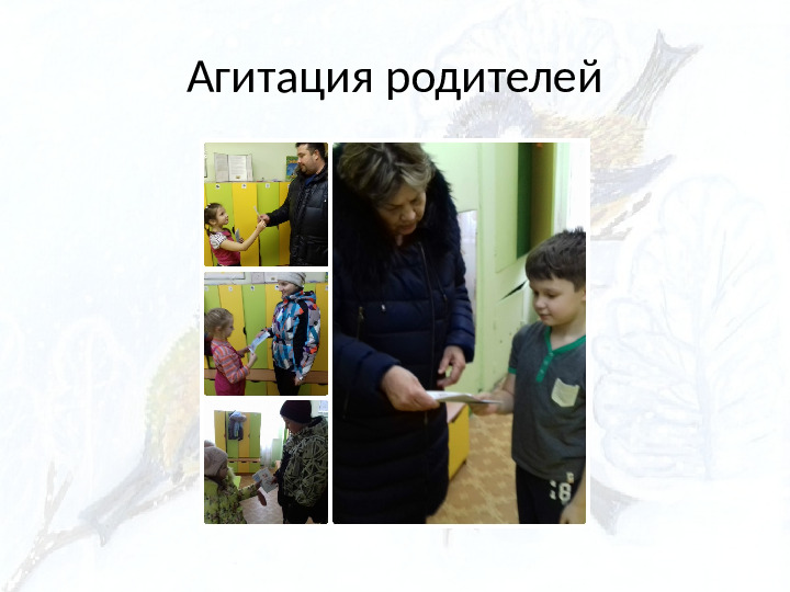 Опыт работы. Организация экологического проекта "Кормушка для пичужки".