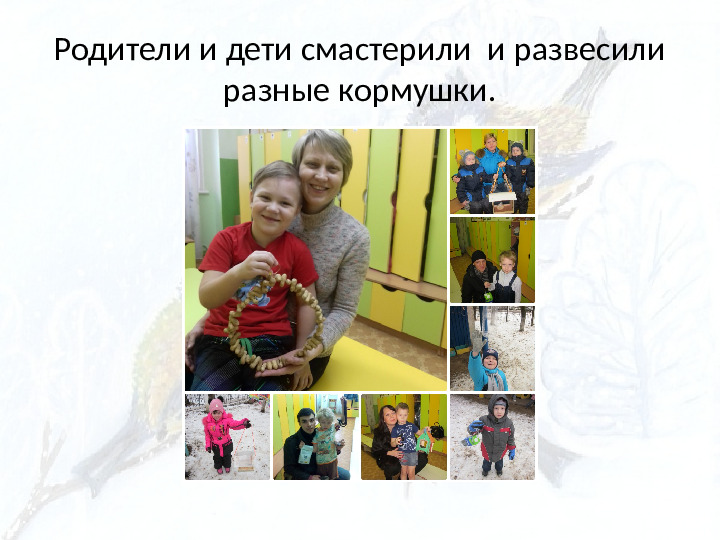 Опыт работы. Организация экологического проекта "Кормушка для пичужки".