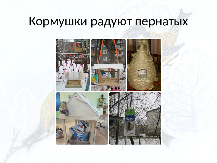 Опыт работы. Организация экологического проекта "Кормушка для пичужки".
