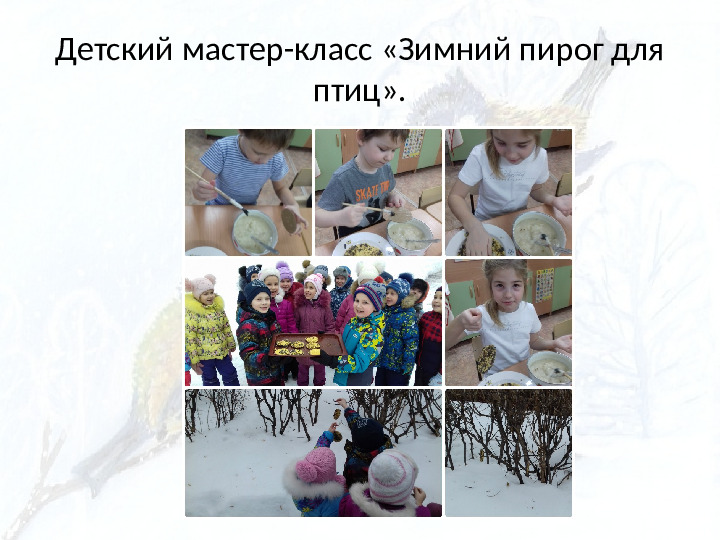 Опыт работы. Организация экологического проекта "Кормушка для пичужки".