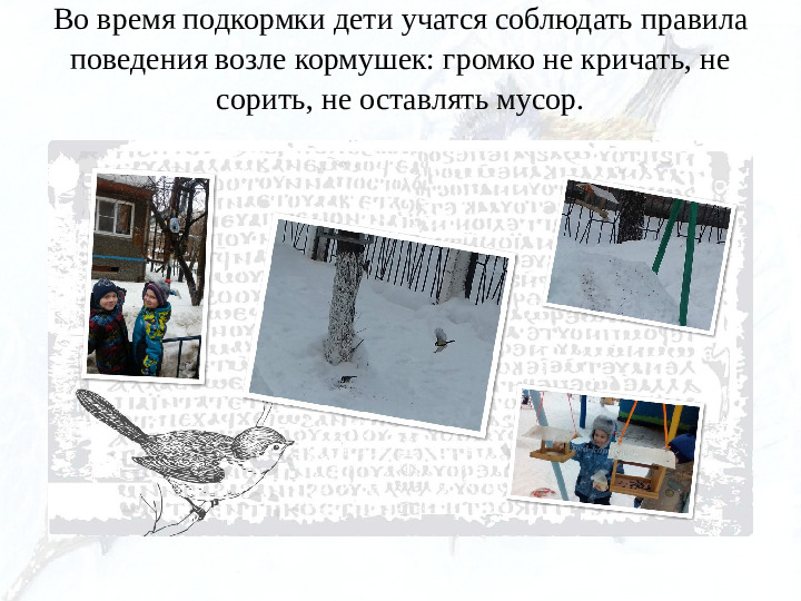 Опыт работы. Организация экологического проекта "Кормушка для пичужки".