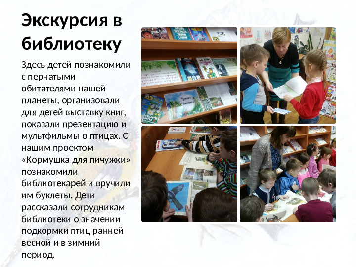 Опыт работы. Организация экологического проекта "Кормушка для пичужки".