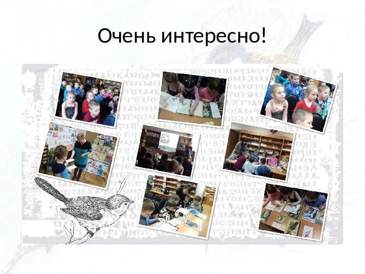 Опыт работы. Организация экологического проекта "Кормушка для пичужки".