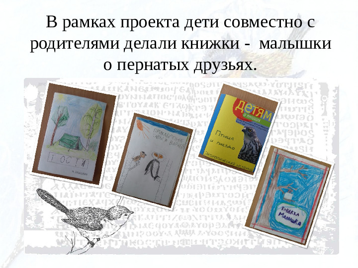 Опыт работы. Организация экологического проекта "Кормушка для пичужки".