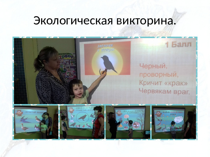 Опыт работы. Организация экологического проекта "Кормушка для пичужки".
