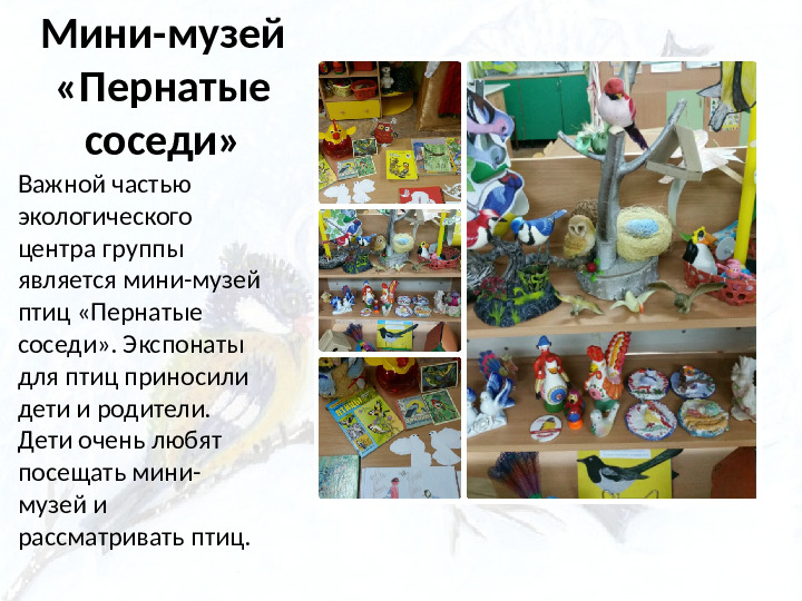 Опыт работы. Организация экологического проекта "Кормушка для пичужки".