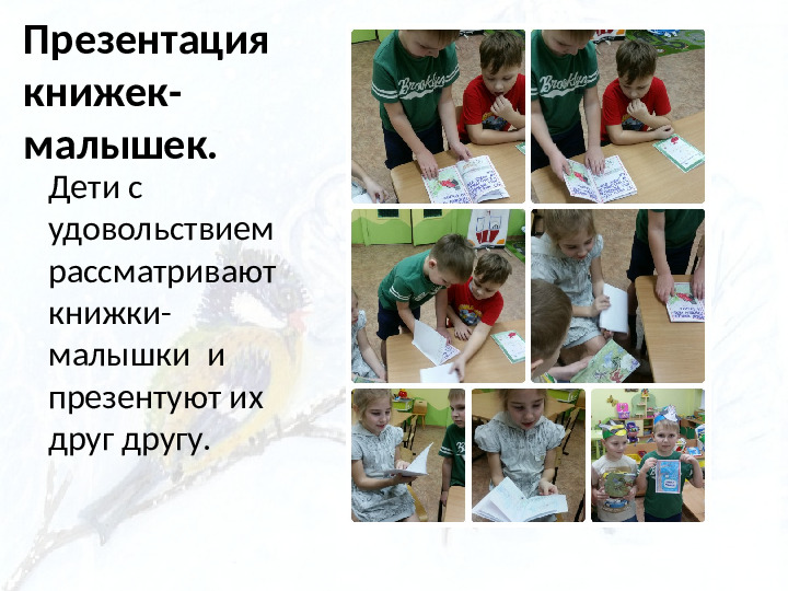 Опыт работы. Организация экологического проекта "Кормушка для пичужки".