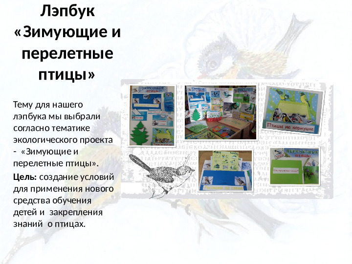 Опыт работы. Организация экологического проекта "Кормушка для пичужки".