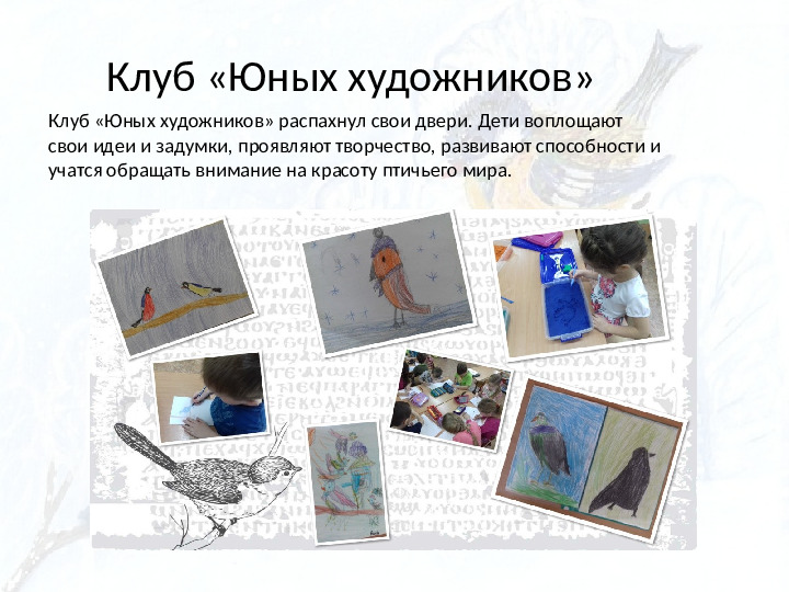 Опыт работы. Организация экологического проекта "Кормушка для пичужки".